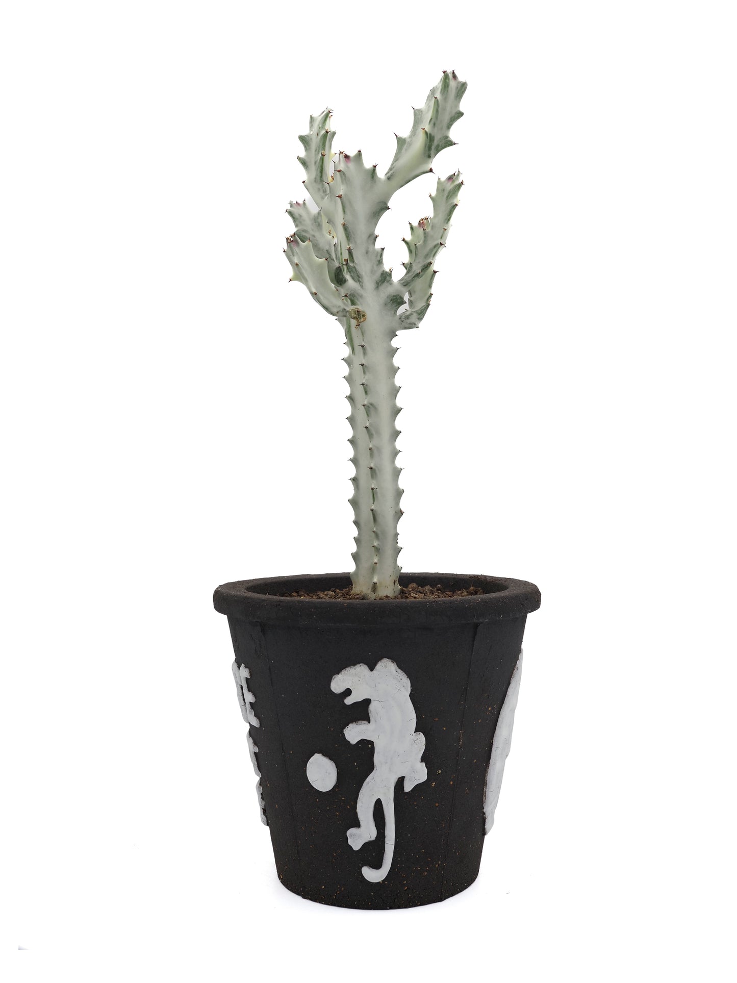 Please dont die planter