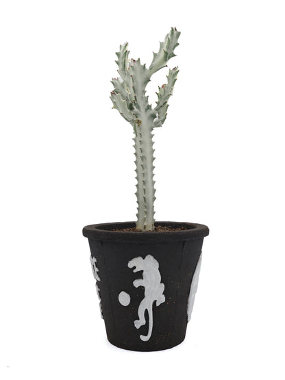Please dont die planter